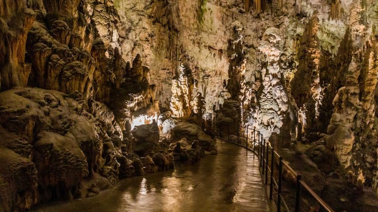 primorsko notranjska moje podjetje